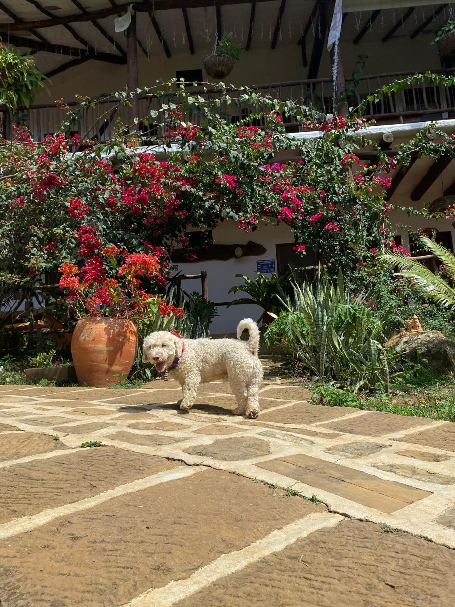 Hostal Villa San Rafael Barichara Εξωτερικό φωτογραφία